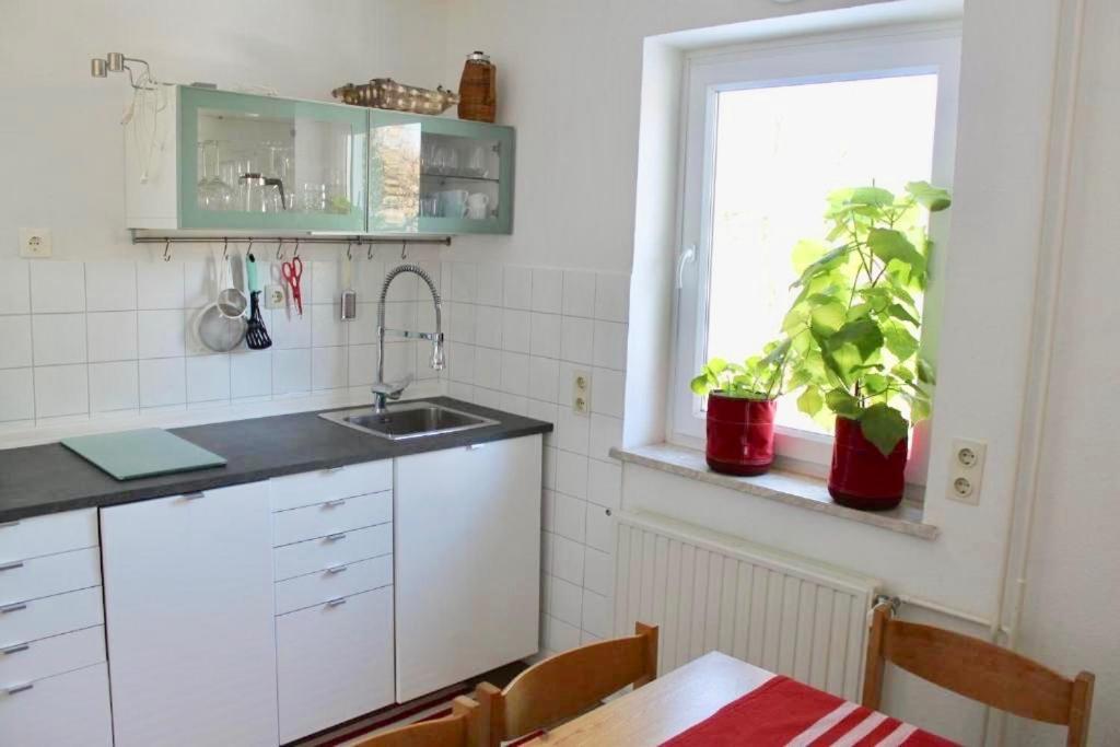 Zollhaus 26 Leilighet Hohegeiß Eksteriør bilde